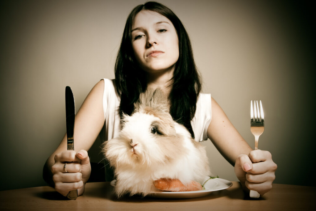 house rabbit sitting on a dinner plate with angry caregiver