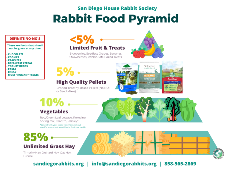 Food & Diet - Rabbit.org