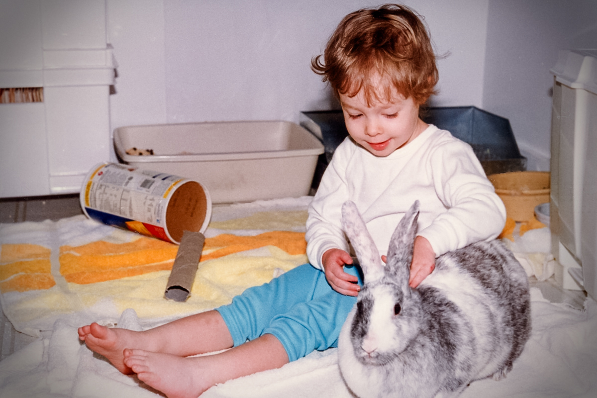 Rabbits and Children: Fostering Compassion at Home 
