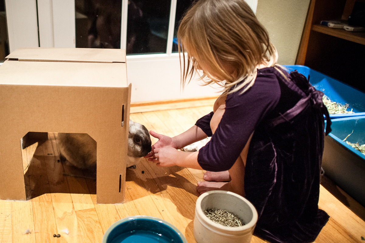 Rabbits and Children: Fostering Compassion at Home