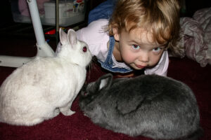 Rabbits and Children: Fostering Compassion at Home - Rabbit