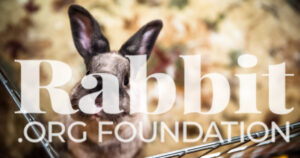 rabbit.org banner with bear the house rabbit