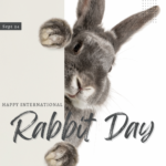 Rabbit Day