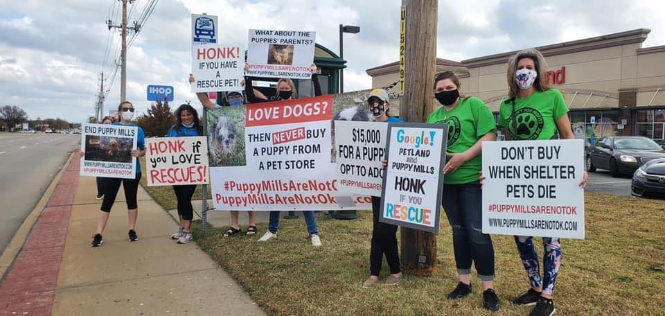 Advocates protesting outside a Petland store, holding signs urging an end to live-animal sales