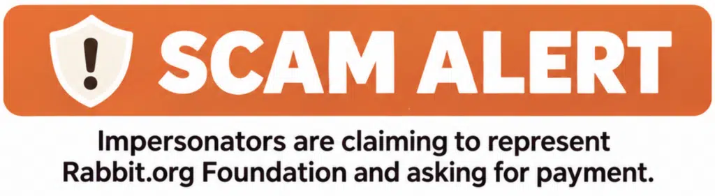 Scam Alert