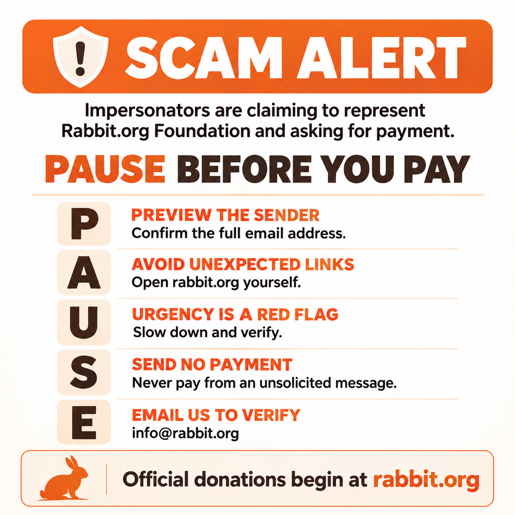 Scam Alert: Impersonators Requesting Payment