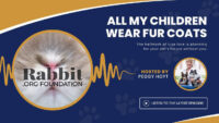 Graphic for Peggy Hoyt's All My Friends Wear Fur Podcast with the Rabbit.org foundation logo